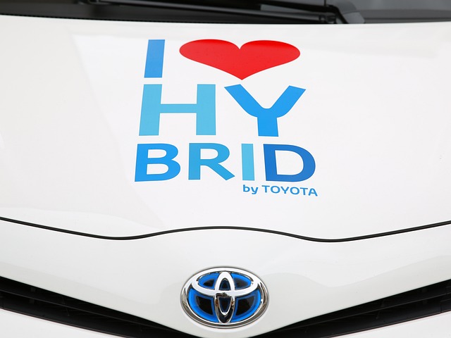 hybridbil